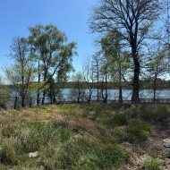 Obiekt na sprzedaż